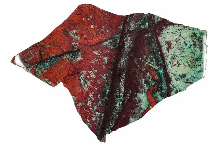 Vibrant Sonora Sunset (Chrysocolla Cuprite) Slab - Mexico #337020